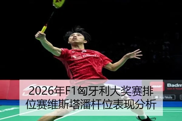 2026年F1匈牙利大奖赛排位赛维斯塔潘杆位表现分析